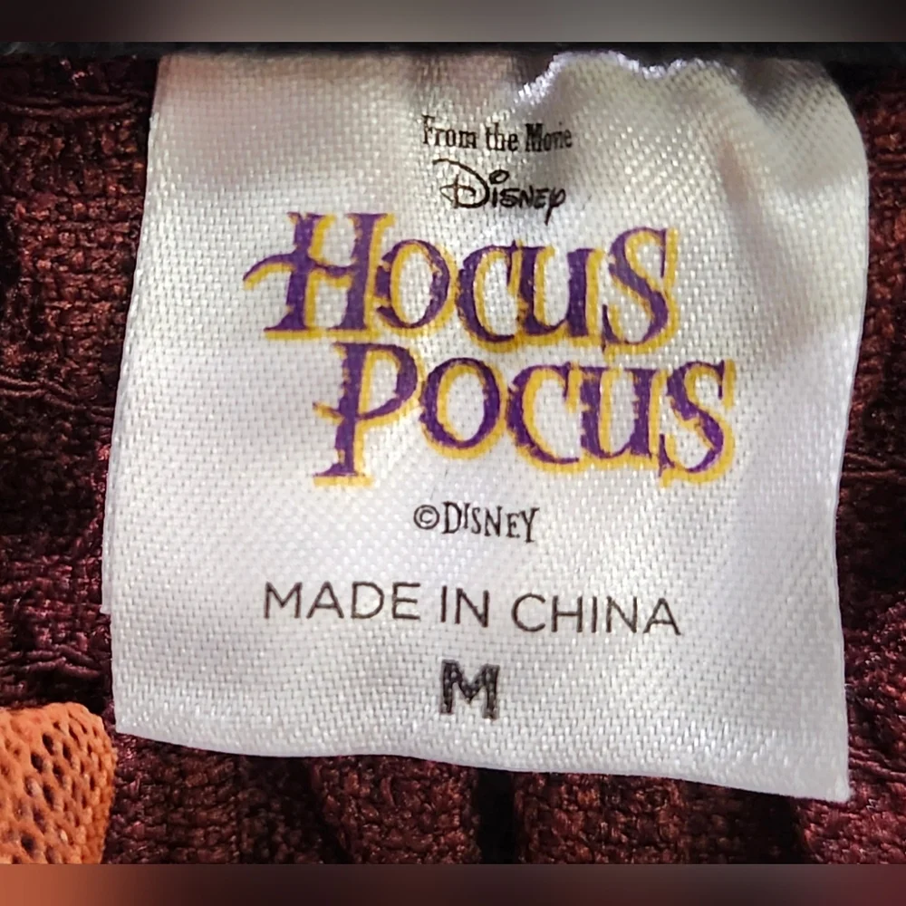 Hocus Pocus Mary Sanderson Kid's Costume Size Medium 8-10 Dress & Apron
